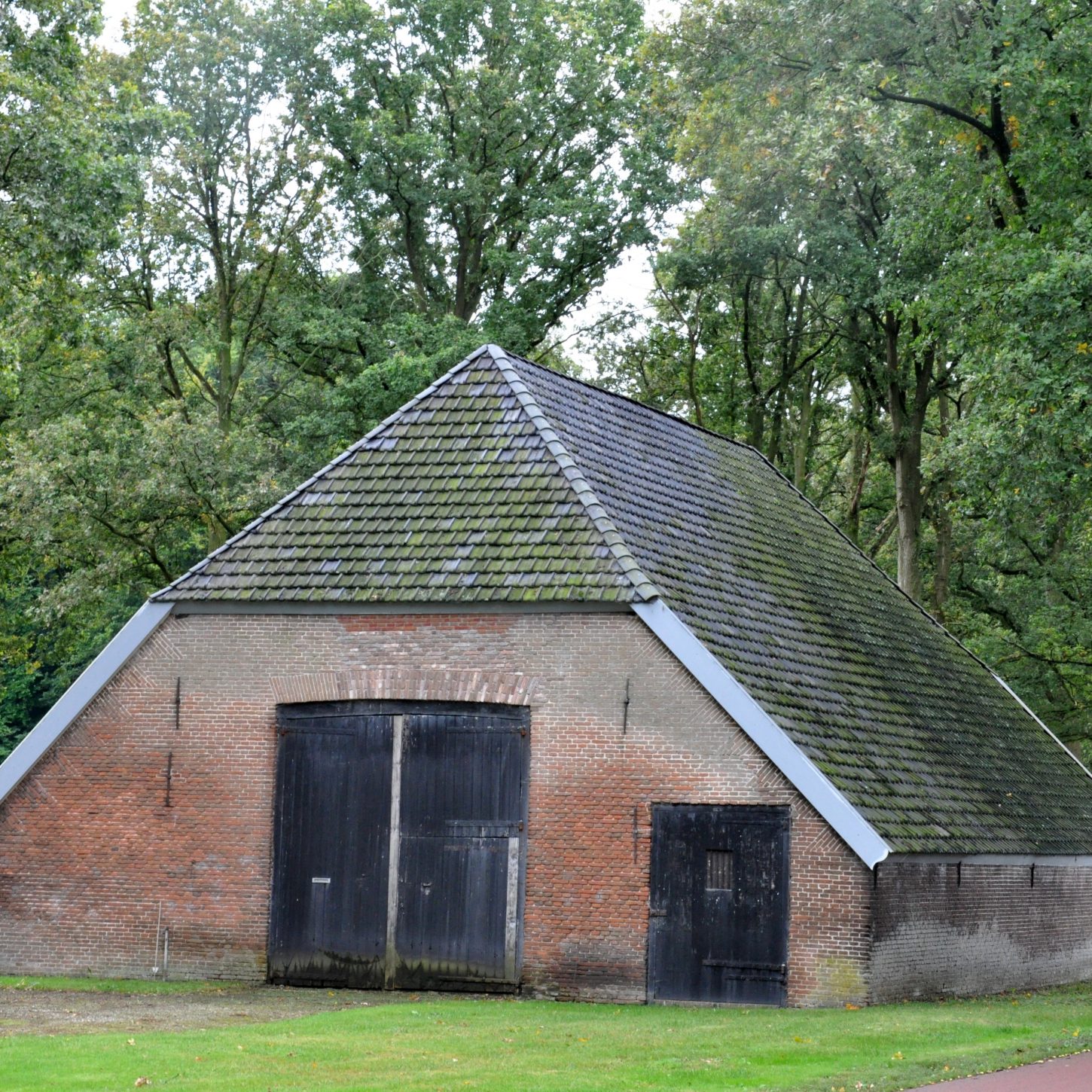 dak in bos, vuil dak, stal