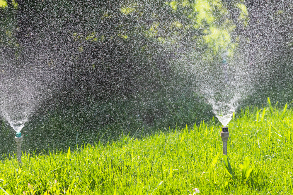 twee sproeiers in tuin