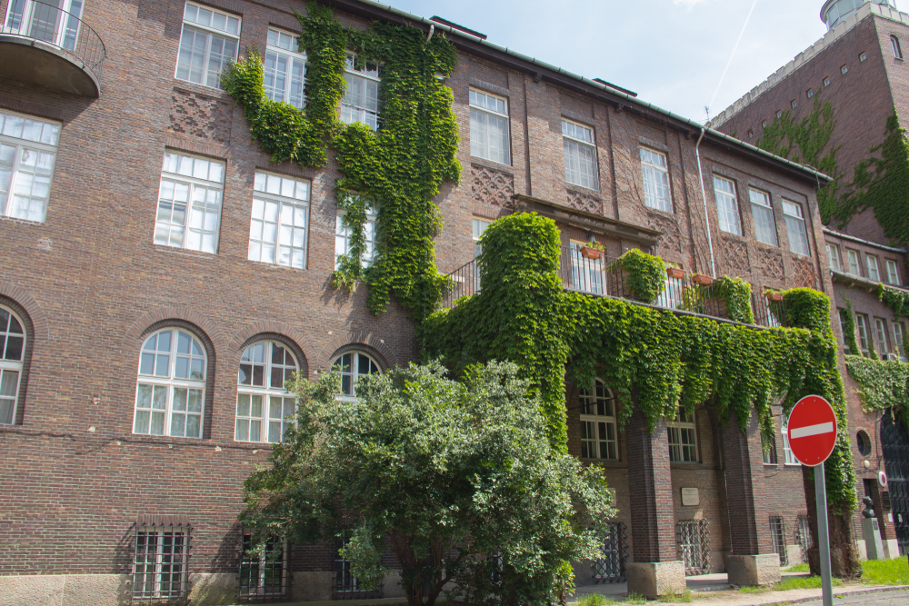 gebouw met begroeiing